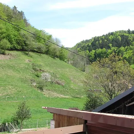 Le Creux Chene Holiday home Labaroche