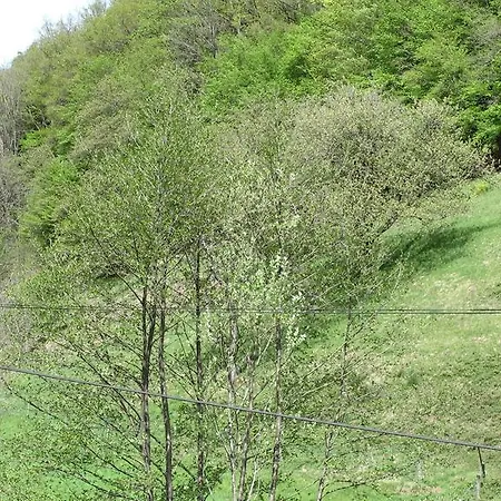 Le Creux Chene Holiday home